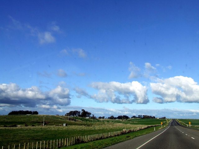 on the road nz
